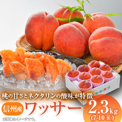 信州産ワッサー2.3kg【配送不可地域：離島】【1232140】