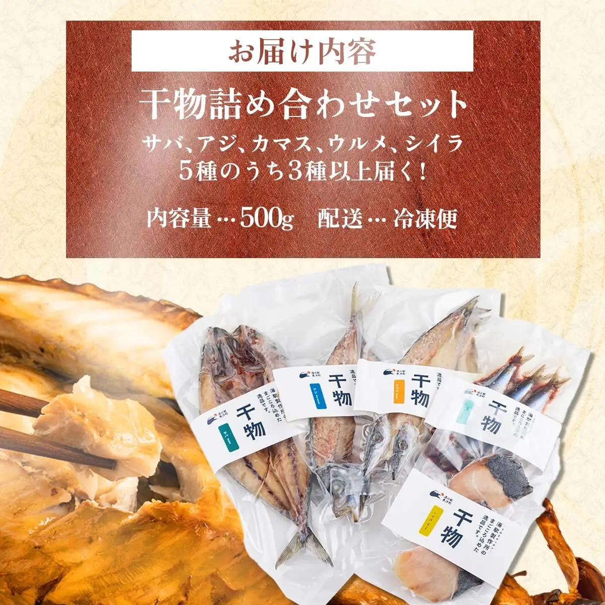 海駅製作所 干物詰め合わせ お任せ3種以上 500g【MT014-1】