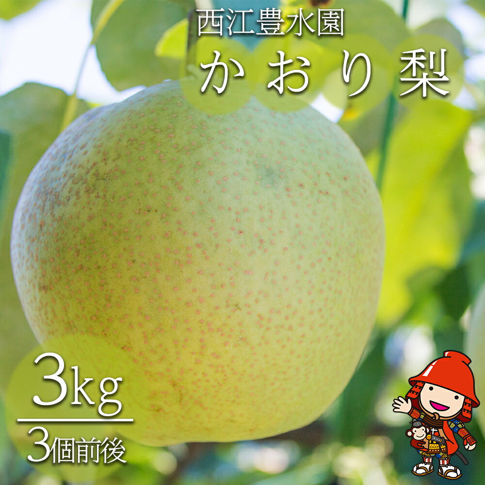 【ふるさと納税】西江豊水園のかおり梨 約3kg ( 3個前後 ) | フルーツ 果物 くだもの 果実 数量限定 旬 完熟梨 梨 なし ナシ かおり かおり梨 和梨 3kg 3キロ 新鮮 産地直送 大分県産 九州産 国産 大分県 中津市 送料無料【発送は2025年9月10日～9月18日頃までの予定】
