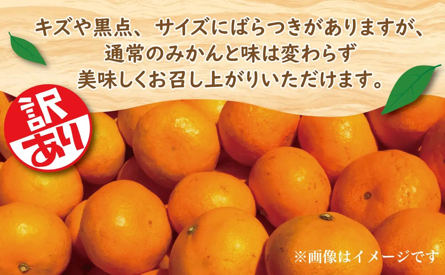 極早生 由良みかん 約 5kg 訳あり みかん
