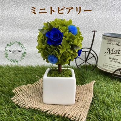 ふるさと納税 春日部市 プリザーブドフラワーアレンジ【プティシュシュ/ブルー】春日部市 シュガーパイン