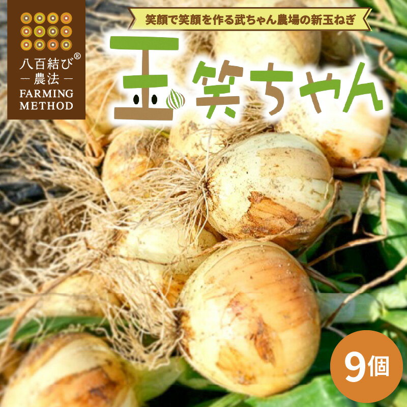 【ふるさと納税】新玉ねぎ 玉笑ちゃん 9個 玉ねぎ 玉葱 タマネギ オニオン 常備野菜 保存野菜 オニオンスープ 碧南市 産地直送 送料無料