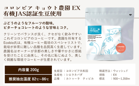 有機JAS認証生豆使用　珈琲豆２種セット（エチオピア・コロンビア）Artisan＋《30日以内に出荷予定(土日祝除く)》珈琲豆 挽き豆 コーヒー 飲み比べ ギフト プレゼント カフェ 千葉県 流山市 