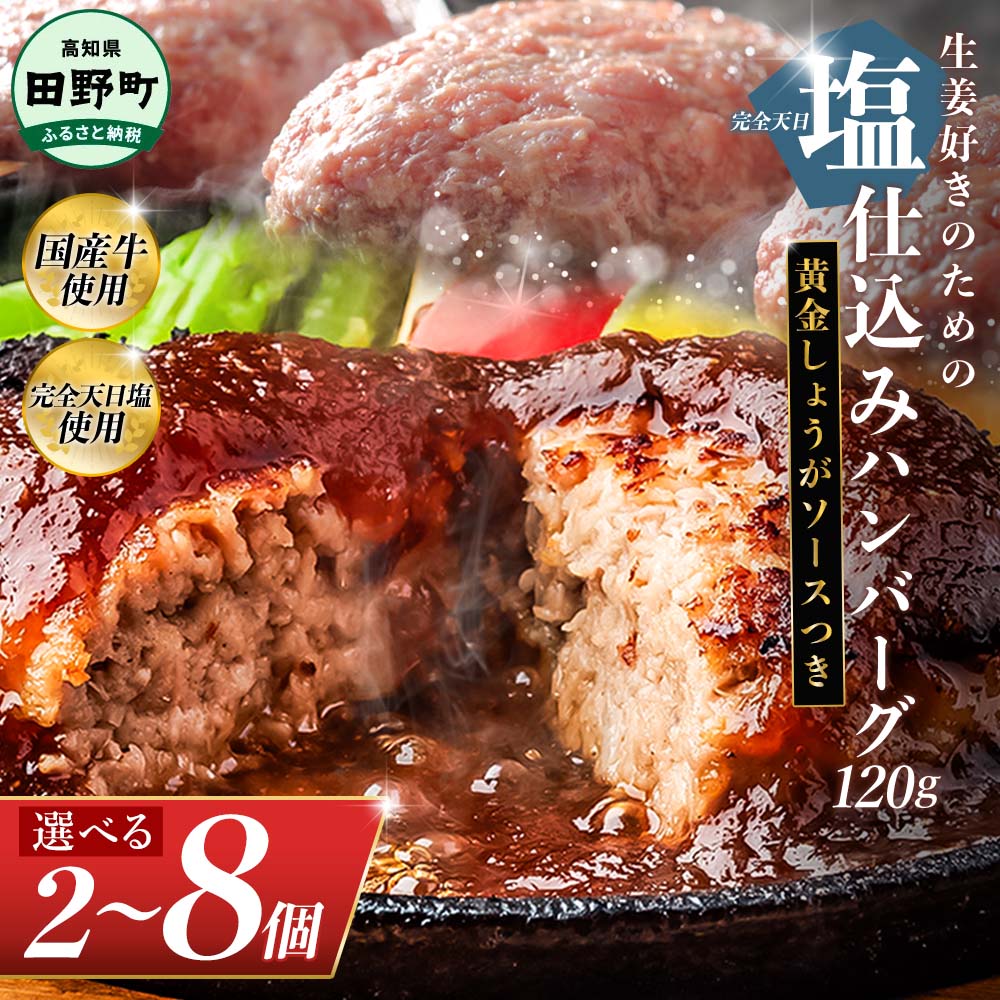 【ふるさと納税】塩仕込みハンバーグ 2~8個入り 黄金しょうがソース付 1~4袋 美鮮豚 びせんとん 生姜 田野屋青蜂 白鯆 完全天日塩 肉 お肉 国産牛 四万十ポーク おかず 惣菜 ジューシー おいしい 洋食 お取り寄せ 冷凍 配送 高知県 田野町 ふるさとのうぜい 故郷納税 返礼品