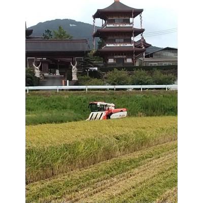 ふるさと納税 石岡市 【令和7年産】獅子米 コシヒカリ 精米 5kg |  | 02