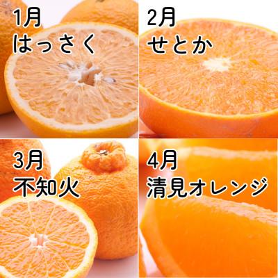 ふるさと納税 広川町 【発送月固定定期便】家庭用 柑橘定期便M(毎月)全12回 |  | 02