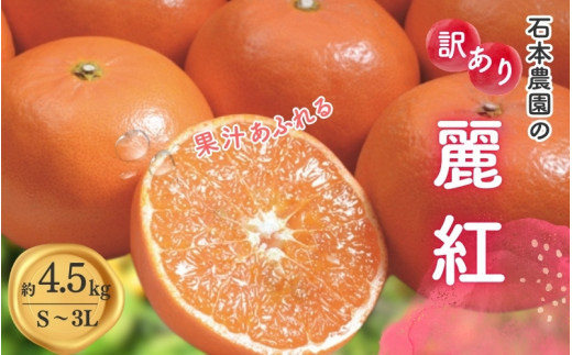 【先行予約】訳あり S-3L サイズおまかせ 石本農園の麗紅 4.5kg 【2027年1月中旬から2月末頃までに順次発送】/ みかん ミカン 蜜柑 麗紅 れいこう 訳あり おまかせ