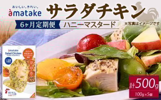 サラダチキン ハニーマスタード味 100g×5個 【6回(6ヶ月定期便)】