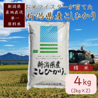 ふるさと納税 上越市 令和7年産 お米マイスターが育てた上越産コシヒカリ4kg(2kg×2) 白米 精米