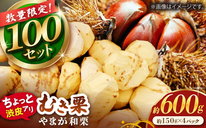 【先行予約】 【風味豊か♪ちょっと渋皮つき】やまが和栗 大粒むき栗 渋皮つき約600g（約150g×4pc）小分け【古川農園】 [ZES002]