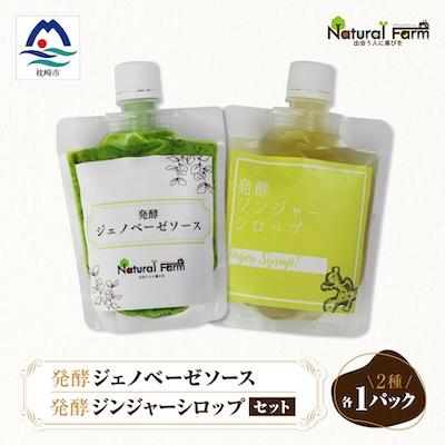 ふるさと納税 枕崎市 発酵ジェノベーゼソース&amp;発酵ジンジャーシロップ　各1パックセット A3-373