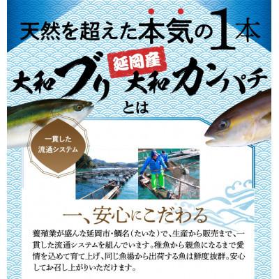 ふるさと納税 延岡市 【毎月定期便】頑張る自分へのご褒美セット全6回 |  | 01