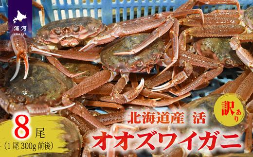 
                  訳あり 活オオズワイガニ300g前後×8尾[02-1566]
                