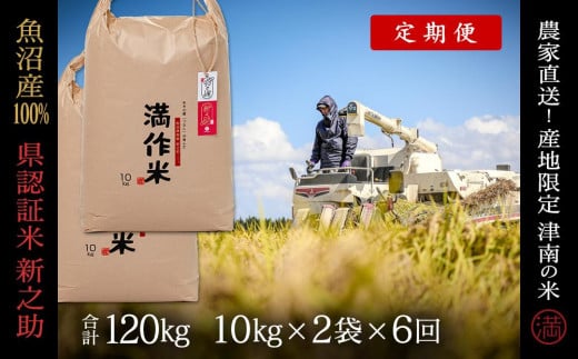 【 定期便 6ヶ月 】 米 20kg ( 10kg × 2袋 ) × 6回 令和7年産 新米 魚沼産 新之助 県認証米 特別栽培米 | しんのすけ お米 おこめ 白米 精米 新潟県 津南町
