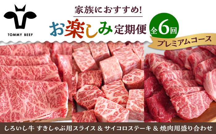 
            【牧場直送】【6回定期便】しろいし牛 家族向け お楽しみ 定期便（プレミアムコース）【佐賀セントラル牧場】佐賀県産 牛肉 お肉 肉 ハンバーグ 切り落とし 炒め物 贅沢九州 佐賀県 白石町 [IAH213]
          