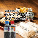 【ふるさと納税】富山県産あらびき生そばと名水つゆ温冷二種セット 蕎麦 だし 大盛 ギフト 石川製麺　【 調味料 出汁 和風 大人気 ロングセラー めんつゆ ざるそば そうめん 万能 甘め ダシ感 】