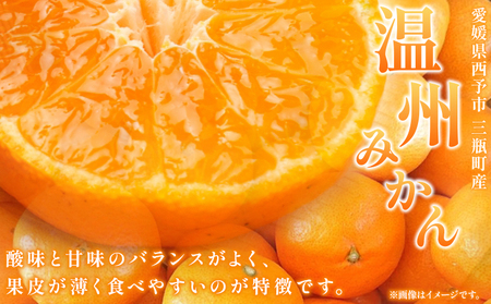 【先行予約】＜温州みかん 約5kg 数量限定 産地直送 贈答品＞ 5キロ みかん ミカン うんしゅうみかん ウンシュウミカン 蜜柑 柑橘 フルーツ 果物 果実 くだもの 特産品 旬 玉やま農園 愛媛県
