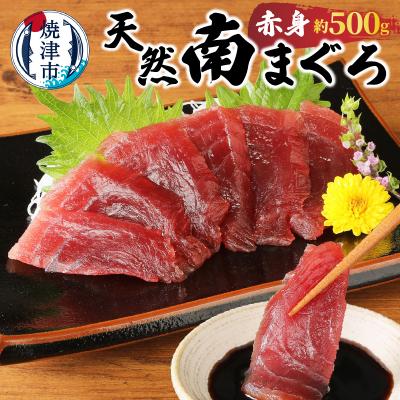 ふるさと納税 焼津市 焼津港水揚げ ・南まぐろ(a10-430)