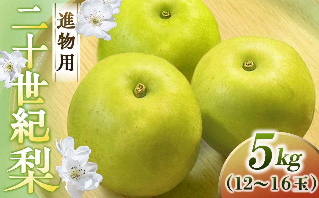 
                  二十世紀梨【進物】5kg（中村農園） 鳥取 梨 果物 フルーツ 和梨 二十世紀梨 20世紀梨 人気 甘い 進物 贈答用
                