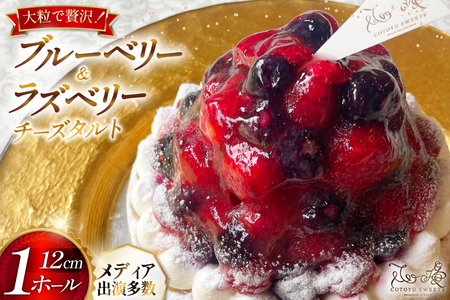 フルーツ ブルーベリー ラズベリー チーズ タルト 1ホール 12cm [心優-Cotoyu Sweets- 長崎県 平戸市 hr42bjo490197]