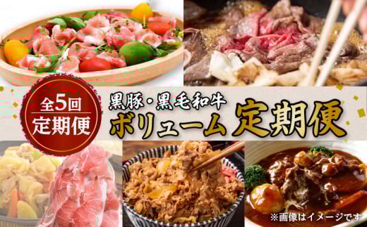 【全5回定期便】黒豚・黒毛和牛ボリューム定期便（1～5月便）　K086-T24