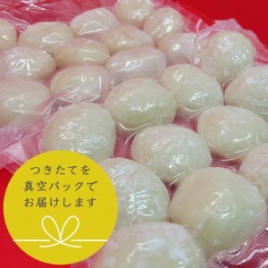 お餅（丸餅・杵つき餅）10個入り＜京風料理 新橋＞お餅 餅 お餅 餅