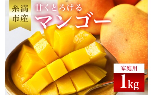 【訳アリ】【 先行予約 2025年 発送 】 訳あり 沖縄県 糸満産 かねよし マンゴー アーウィンマンゴー 1kg 訳アリ 訳あり品 沖縄県産 アップルマンゴー 国産 完熟マンゴー 果物 くだもの フルーツ 完熟 夏 特産品 沖縄 産地直送 農家直送 甘い 濃厚 糸満市 