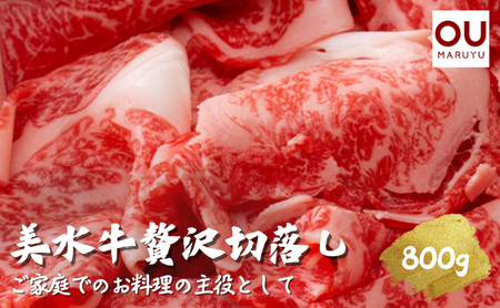 美水牛 贅沢 切落し ( 800ｇ 200ｇ×４) 牛肉 冷凍品 ギフト 肉 お祝い 但馬牛 神戸牛 三田牛 数量限定 訳あり ふるさと納税 ふるさと 人気 おすすめ 送料無料 兵庫県 三田市