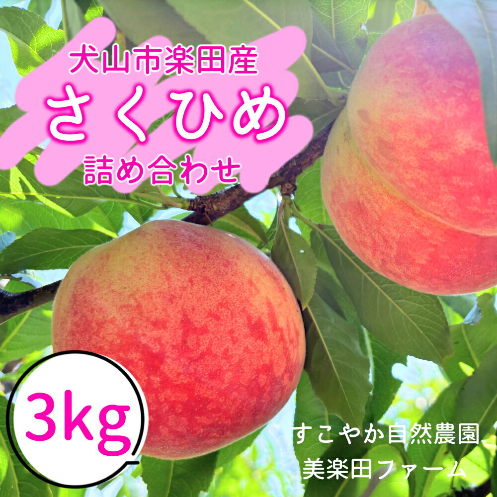 【ふるさと納税】【2026年先行予約】犬山市楽田産 桃（さくひめ）3kg ｜ 桃 甘い 詰め合わせ 3kg さくひめ 美楽田ファーム すこやか自然農園 もも モモ 犬山 ご自宅用 贈答 贈り物 プレゼント ご褒美 楽田 愛知県