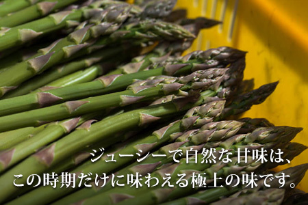 【令和8年産先行予約】 アスパラガス Lサイズ 2kg アスパラガス  [024-59]