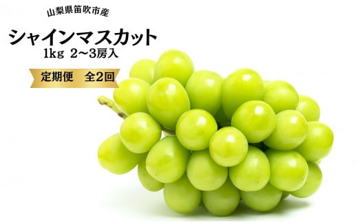 【2026年発送★先行予約】葡萄の一大産地！笛吹市産シャインマスカット定期便×２回 167-015-26y ※沖縄・離島配送不可