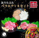 【ふるさと納税】【6回定期便 豚肉5種セット】ありたぶた バラエティBセット (豚肉5種) 6回 定期便 小分け 真空パック 豚肉 ロース バラ モモ もも 赤身 ハンバーグ 餃子 N60-9