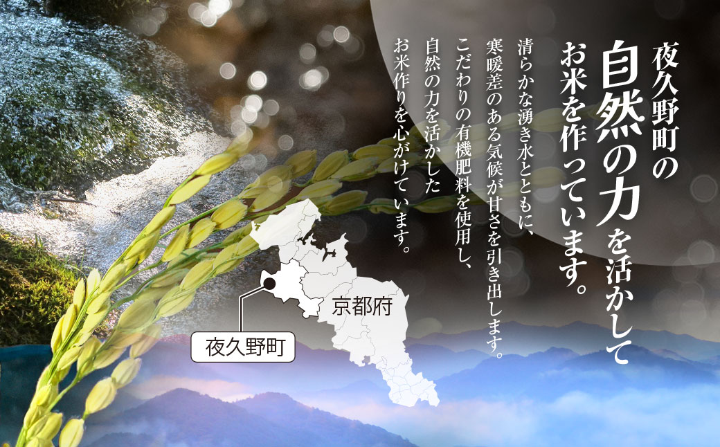 ＜3ヶ月定期便＞＜令和7年産＞ 京都夜久野産 清雫(せいな) コシヒカリ 白米 (3kg×3回) 【fc-DB006-A03】【合同会社夜久野清雫】