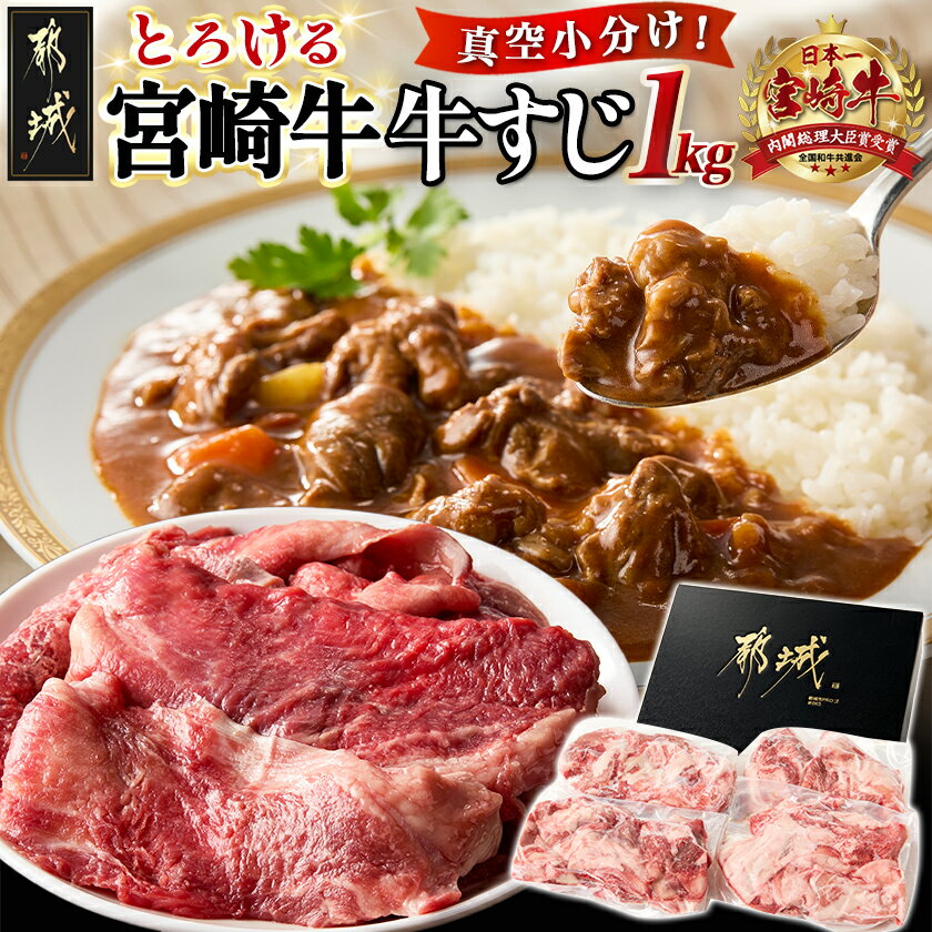 【ふるさと納税】宮崎牛牛すじ1kg(250g×4P) - 宮崎牛 宮崎県産 牛すじ 1kg 250g×4P 真空パック 小分け 牛筋 牛スジ 煮込み料理 カレー おでん 送料無料 AA-N301 【宮崎県都城市は2年連続ふるさと納税日本一！】
