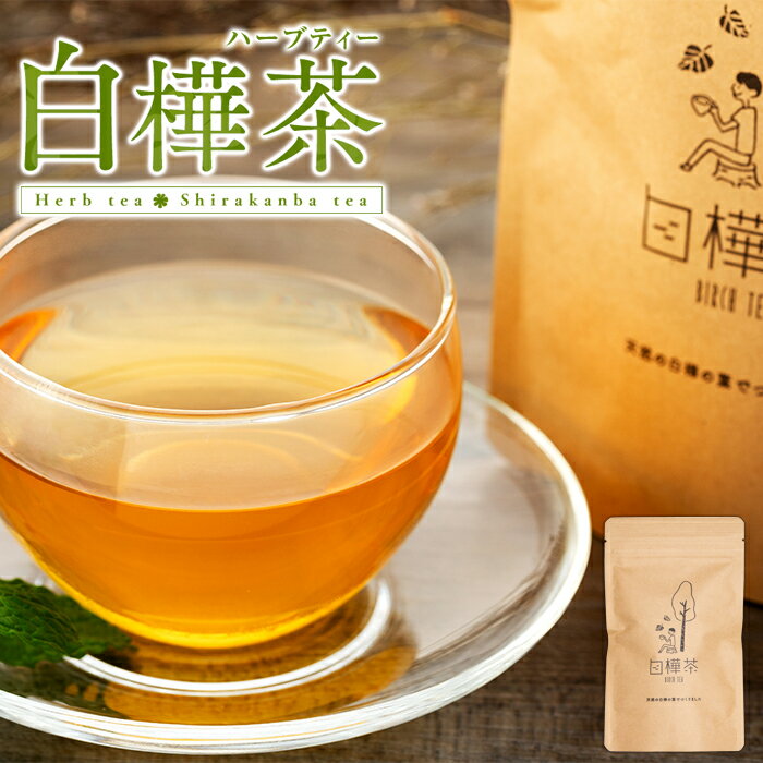【ふるさと納税】 白樺茶 | お茶 ハーブティー 白樺 シラカバ さわやか やさしい甘さ 白樺高原 ふるさと 信州 長野県 立科町 蓼科