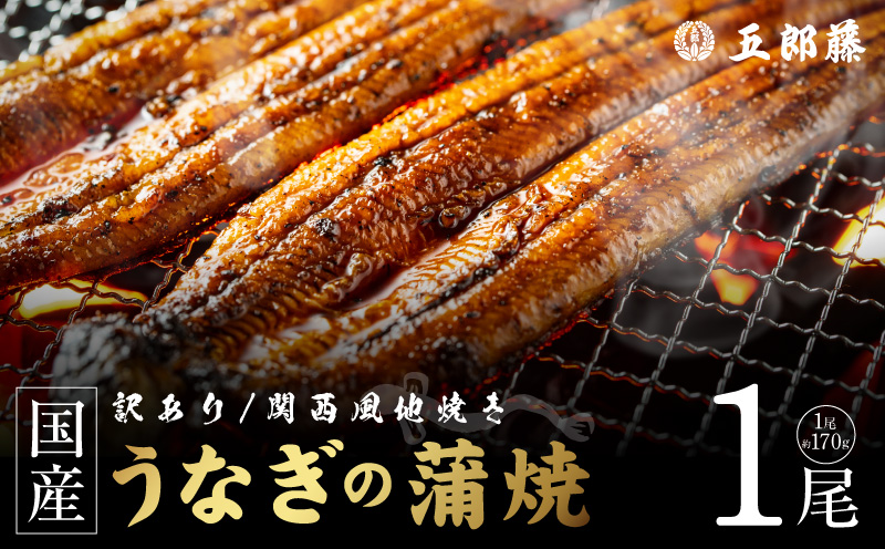 【訳あり】老舗「五郎藤」関西風地焼き 国産有頭旨鰻 170g前後×1尾 うなぎ ウナギ 蒲焼き 炭火【大阪 泉佐野 大阪府 泉佐野市】