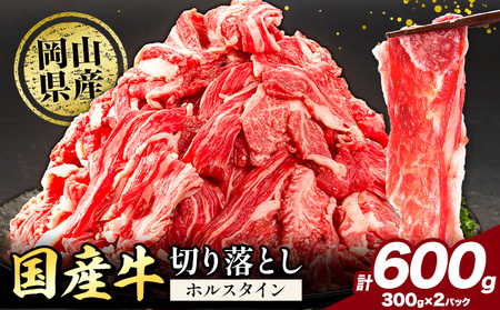 牛肉 肉 国産牛 切り落とし ホルスタイン 大容量 小分け 600g(300g×2) 《30日以内に出荷予定(土日祝除く)》牛肉 岡山県産 岡山県 矢掛市 お肉 にく カレー 牛丼