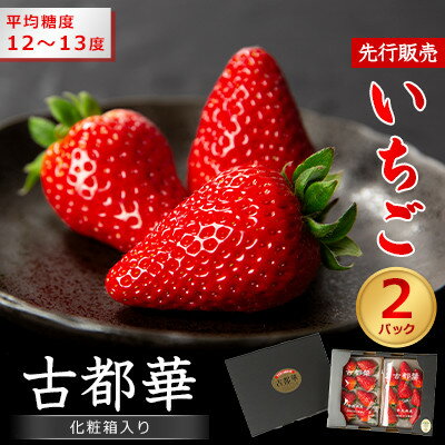 【ふるさと納税】【先行予約】奈良県産いちご　古都華　化粧箱入り2パック【2025年12月中旬から発送】_ いちご 苺 果物 フルーツ くだもの 旬 人気 おすすめ 贈答 ギフト 産地直送 送料無料 冷蔵 【配送不可地域：離島・北海道・沖縄県】【1253928】