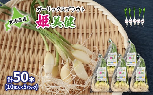 発芽にんにく 北海道産 ガーリックスプラウト姫美健 計50本 (10本入×5パック) にんにく ガーリック 野菜 健康