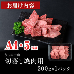 ＜A4・A5等級＞鹿児島県産黒毛和牛 うしの中山 切り落とし焼肉用 200g 黒毛和牛 和牛 肉 牛肉 国産 九州産 鹿児島県産 焼肉 日本一 a0-382