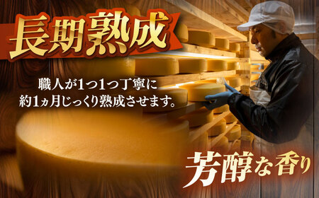 チーズ ラクレット 十勝川温泉 モールウォッシュ　ブロック（約1kg）《足寄町》【合同会社あしょろチーズ工房】北海道産 十勝チーズ ラクレット 温泉水 乳製品 生乳 加工品 1kg 濃厚 冷蔵 十勝 