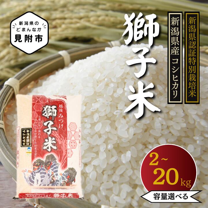 【ふるさと納税】米 新潟県産 こしひかり 2～10kg 　容量選べる　 特別栽培米 コシヒカリ 令和7年産 「獅子米」 お米 精米 ごはん ブランド 品種 送料無料 新潟県認証米 ご飯 安心安全 ブランド 減農薬 お米 おこめ 新潟産 新潟