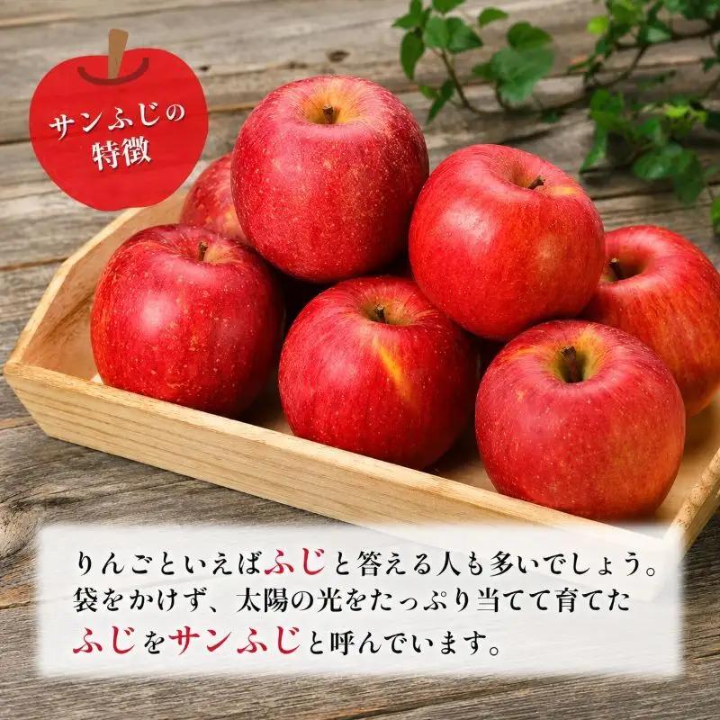 りんご JAうえだ 訳あり 約10kg ふじ 果物 くだもの りんご