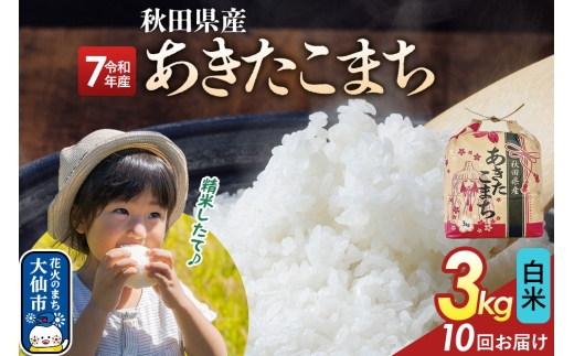 《定期便10ヶ月》あきたこまち【白米】3kg 秋田県産 令和7年産 こまちライン 秋田県 大仙市産 [こまちライン あきたこまち ブランド米 お米 白米 精米 米どころ 秋田 秋田県産]