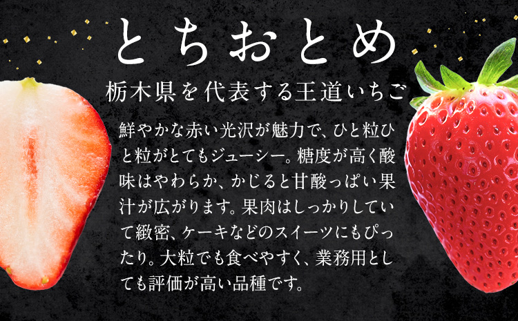 栃木 いちご とちおとめ 2パック 520g 《1月中旬-5月上旬頃出荷》 栃木県 野木町 いちご イチゴ 苺 とちおとめ 果物 フルーツ ジューシー 【配送不可地域】沖縄・離島