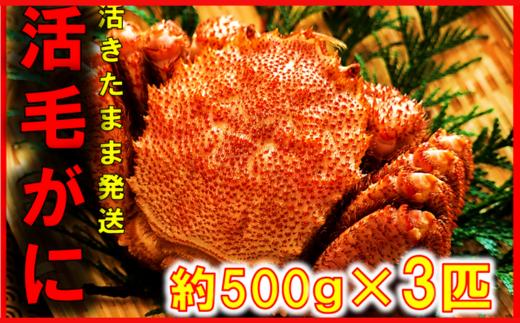 【令和8年発送】三陸産 三陸活毛ガニ 500g×3杯【2026年3月～4月発送】【05】