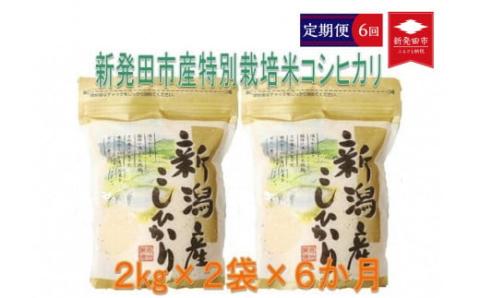 【定期便】令和5年産 特別栽培米コシヒカリ 2kg×2袋×6ヵ月 D29_01