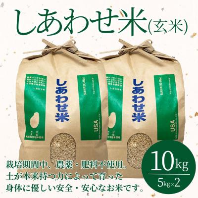 ふるさと納税 宇佐市 しあわせ米 玄米 10kg(5kg入×2袋)【101000602】【宇佐本百姓】