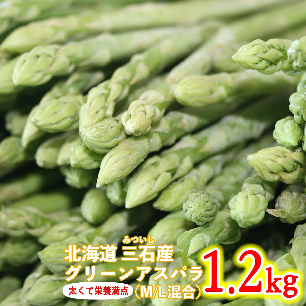 【ふるさと納税】 ＜ 2026年4月より発送 ＞ 北海道産 グリーンアスパラ M / L 混合 1.2kg グリーン アスパラ アスパラガス 冷蔵 新鮮 三石産 北海道 新ひだか町 ＜ 予約受付 ＞