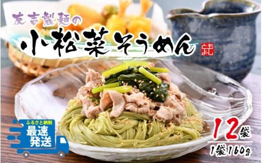 
友吉製麺の小松菜そうめん(乾麺) 160g × 12袋 [B-4402]
